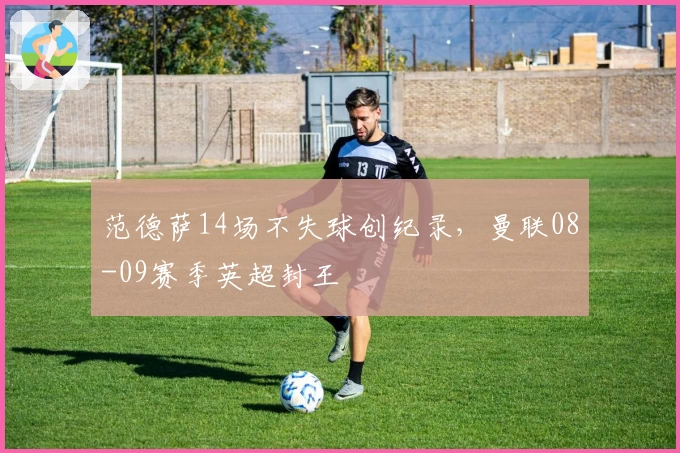 范德萨14场不失球创纪录，曼联08-09赛季英超封王