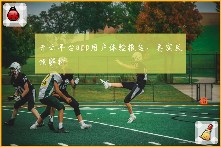 开云平台app用户体验报告，真实反馈解析