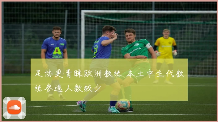 足协更青睐欧洲教练 本土中生代教练参选人数较少