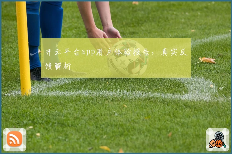 开云平台app用户体验报告，真实反馈解析